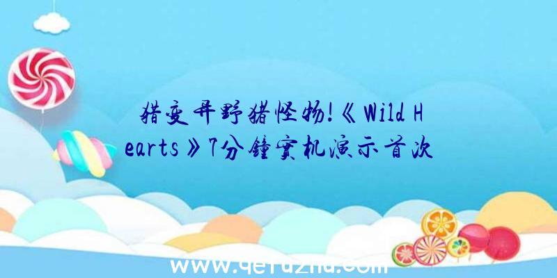 猎变异野猪怪物!《Wild